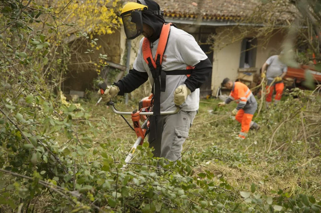 Intervention d'urgence espaces verts - DB Élagage Val-de-Marne